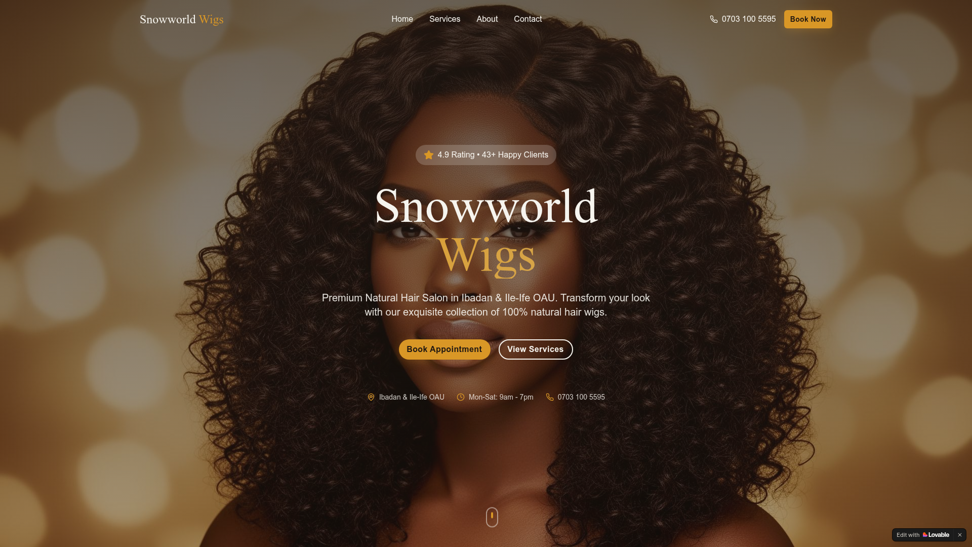 Preview of the Snow World Wigs website